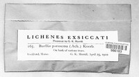 Image Associated With the Occurence